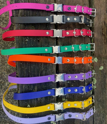 Biothane Collar Strap - 3/4 Inch Quick Snap (no bungee)