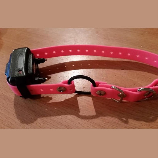 1 inch Biothane Buckle collar with bungee