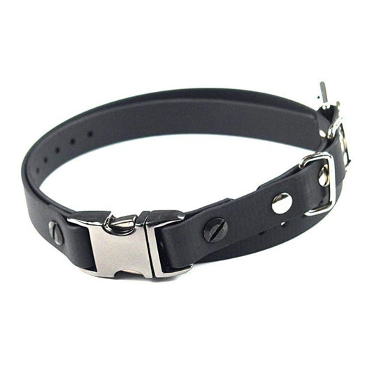 Biothane Buckle Collar - 3/4 Inch Quick Snap (no bungee)