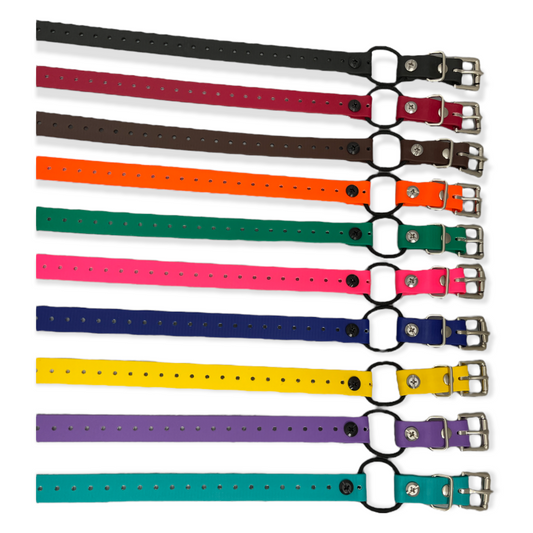 3/4" Mini Bungee Collar For Smaller Dogs
